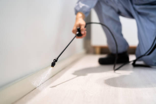 Licensed Cockroach Control service in Hurley, MS - Nex Pest Control