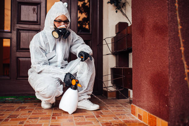 Reliable Cockroach Control contractor in Hurley, MS by Nex Pest Control